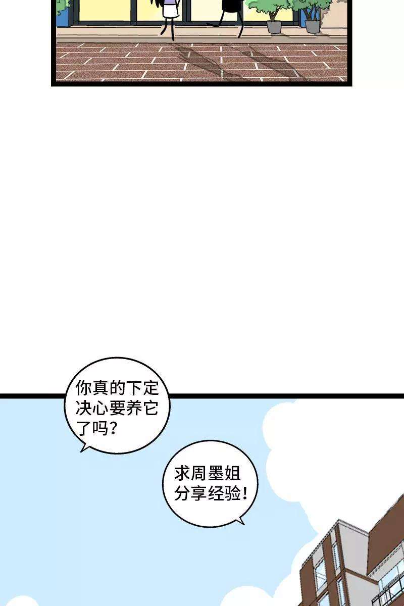 周一至周末70话 幸运的小狗