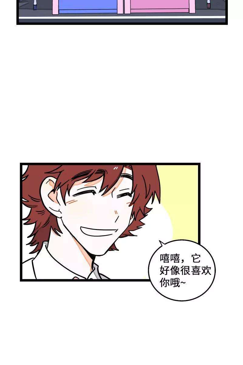 周一至周末70话 幸运的小狗