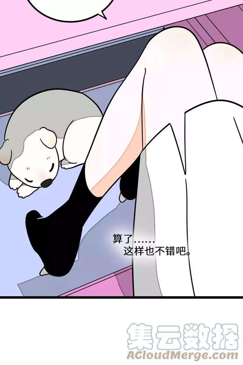 周一至周末70话 幸运的小狗