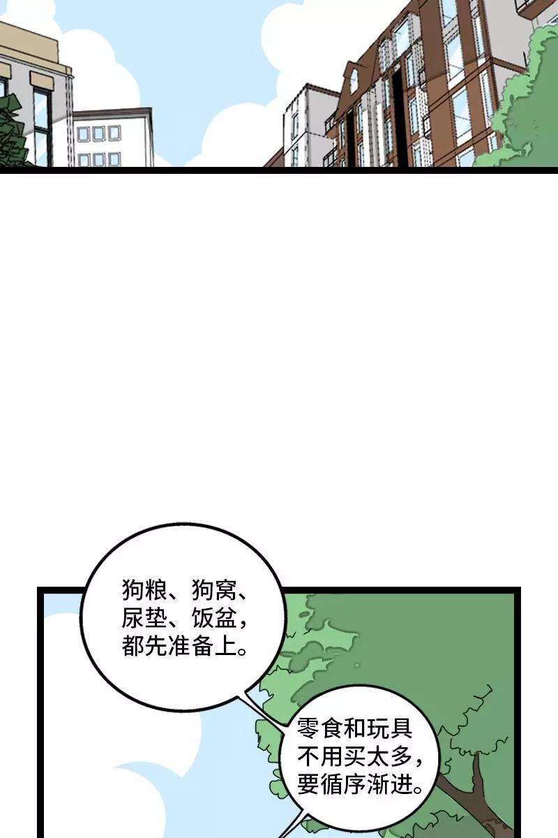 周一至周末70话 幸运的小狗