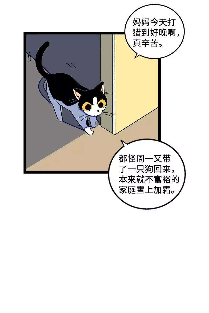 周一至周末75话 没有期望 就不会失望