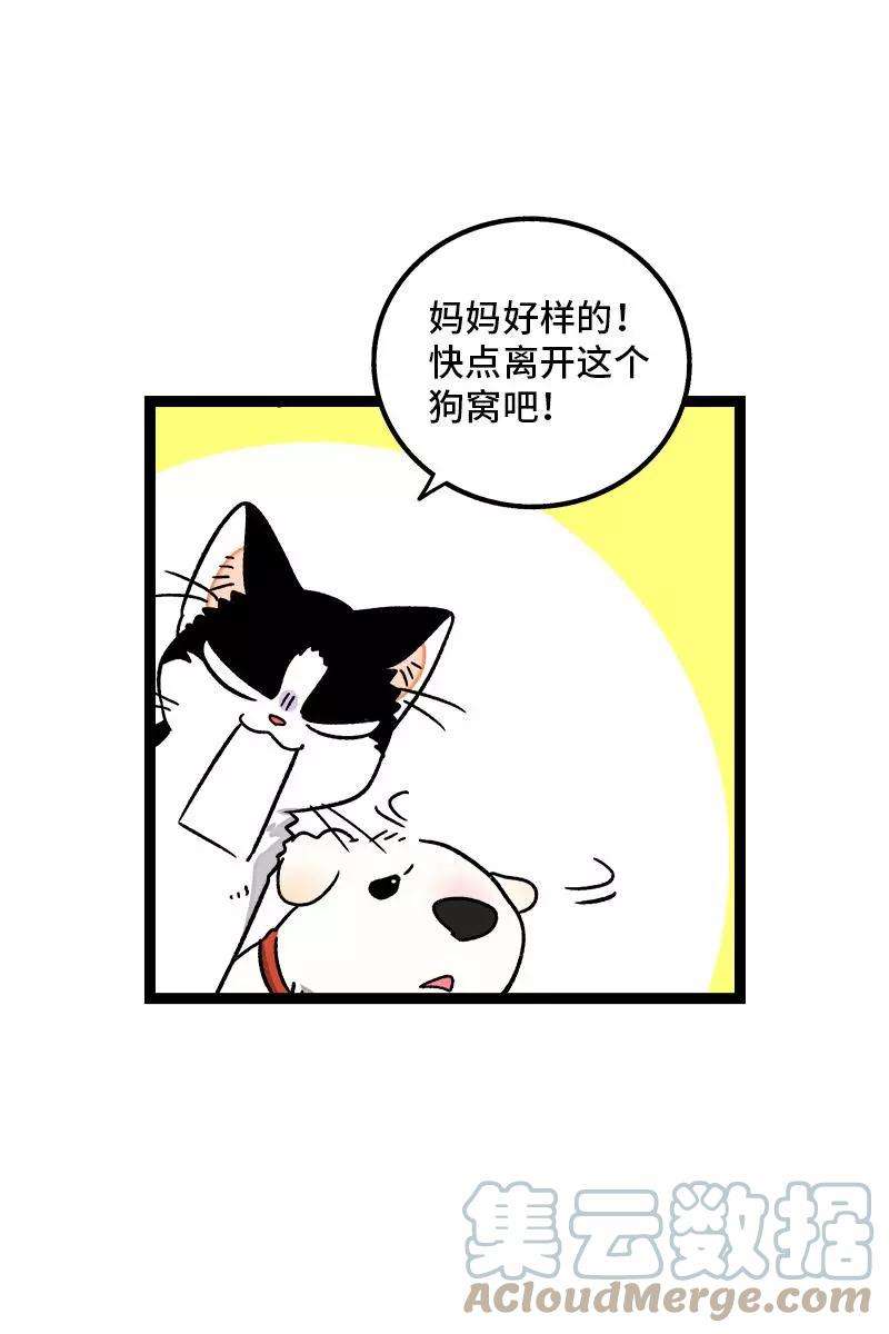 周一至周末76话 再见 周墨姐