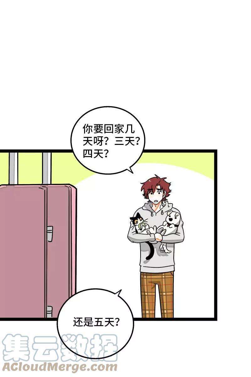 周一至周末94话 就地过年