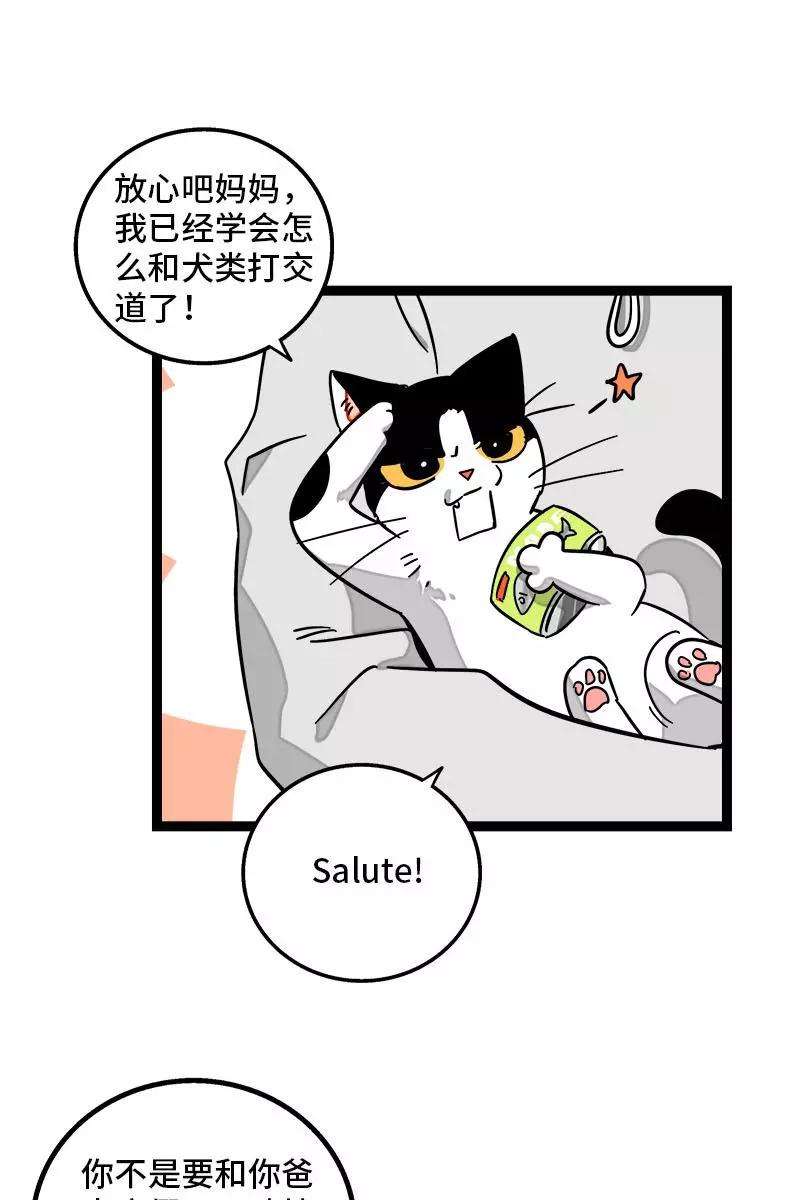 周一至周末94话 就地过年