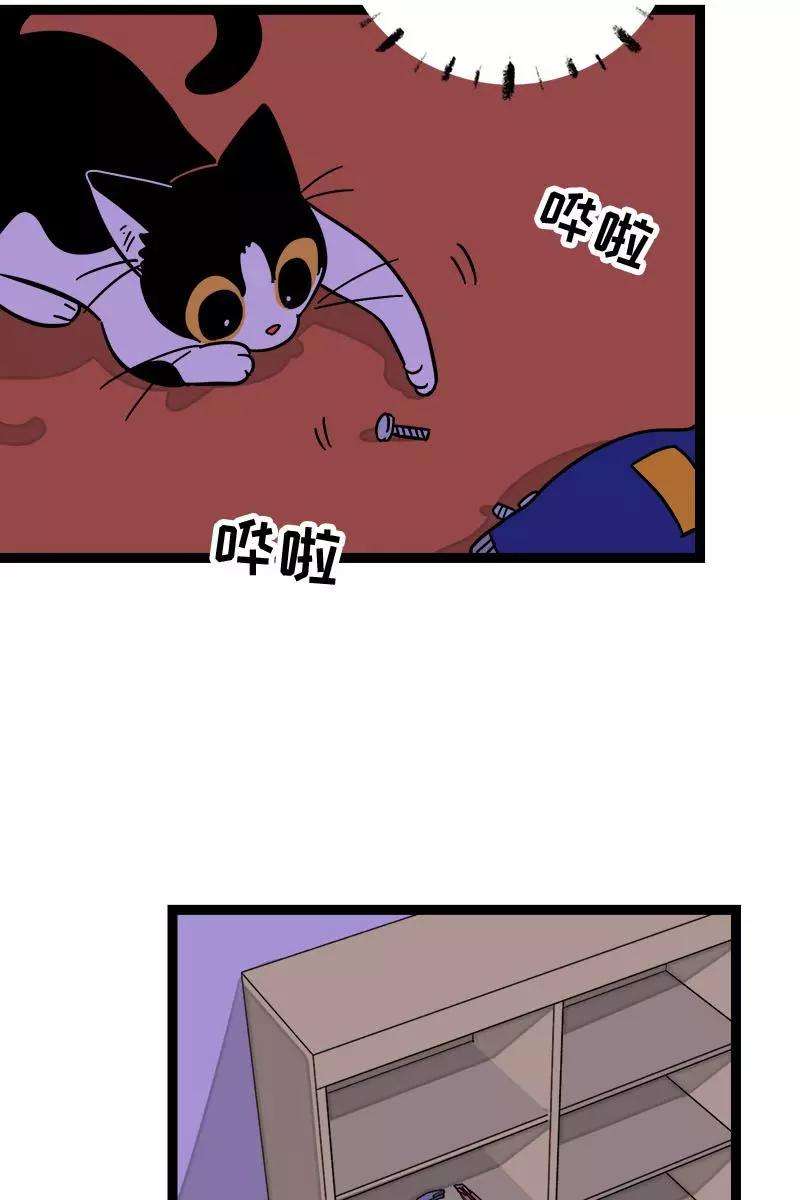 周一至周末104话 财务大人