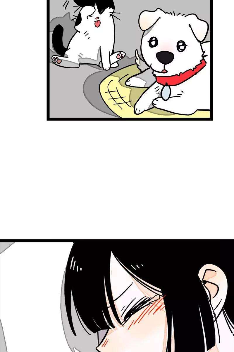 周一至周末112话 996还是007