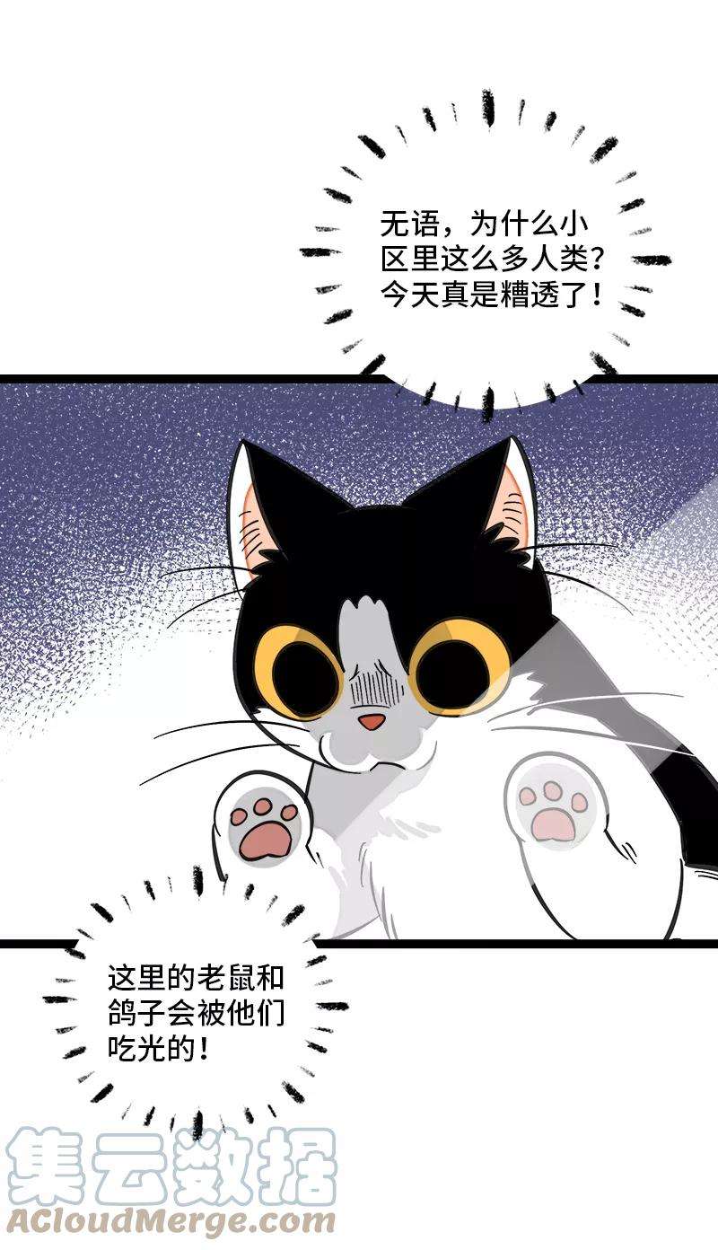 周一至周末148话 逃避无耻且无用