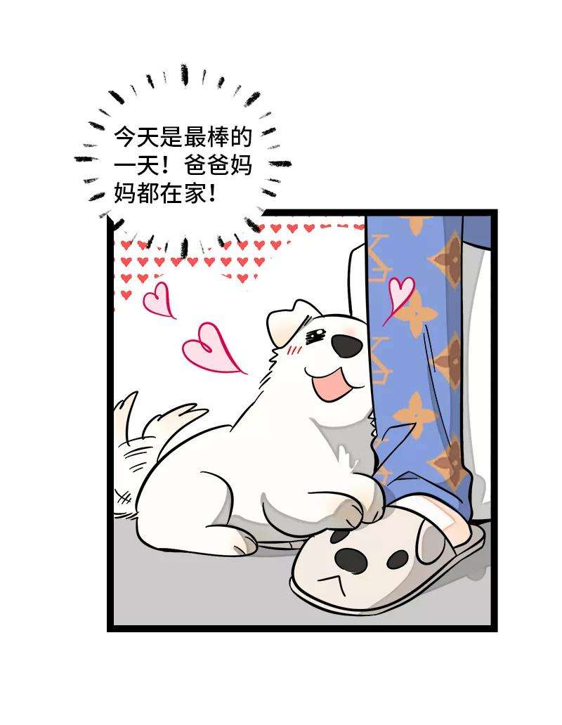 周一至周末148话 逃避无耻且无用