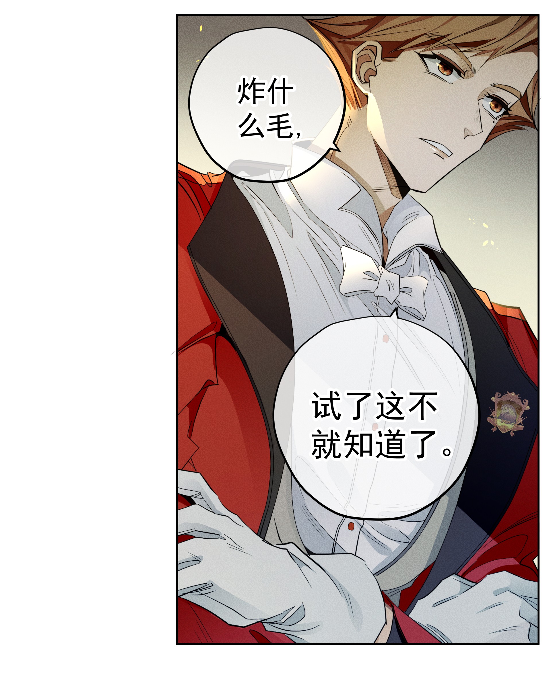 男爵维特之死010 试探