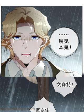 男爵维特之死024 抉择