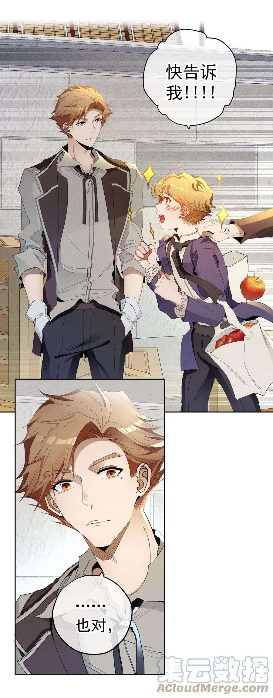 男爵维特之死034 计谋的始终