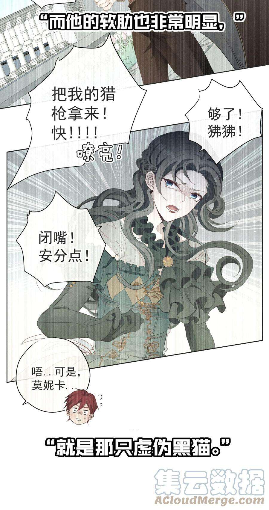 男爵维特之死034 计谋的始终