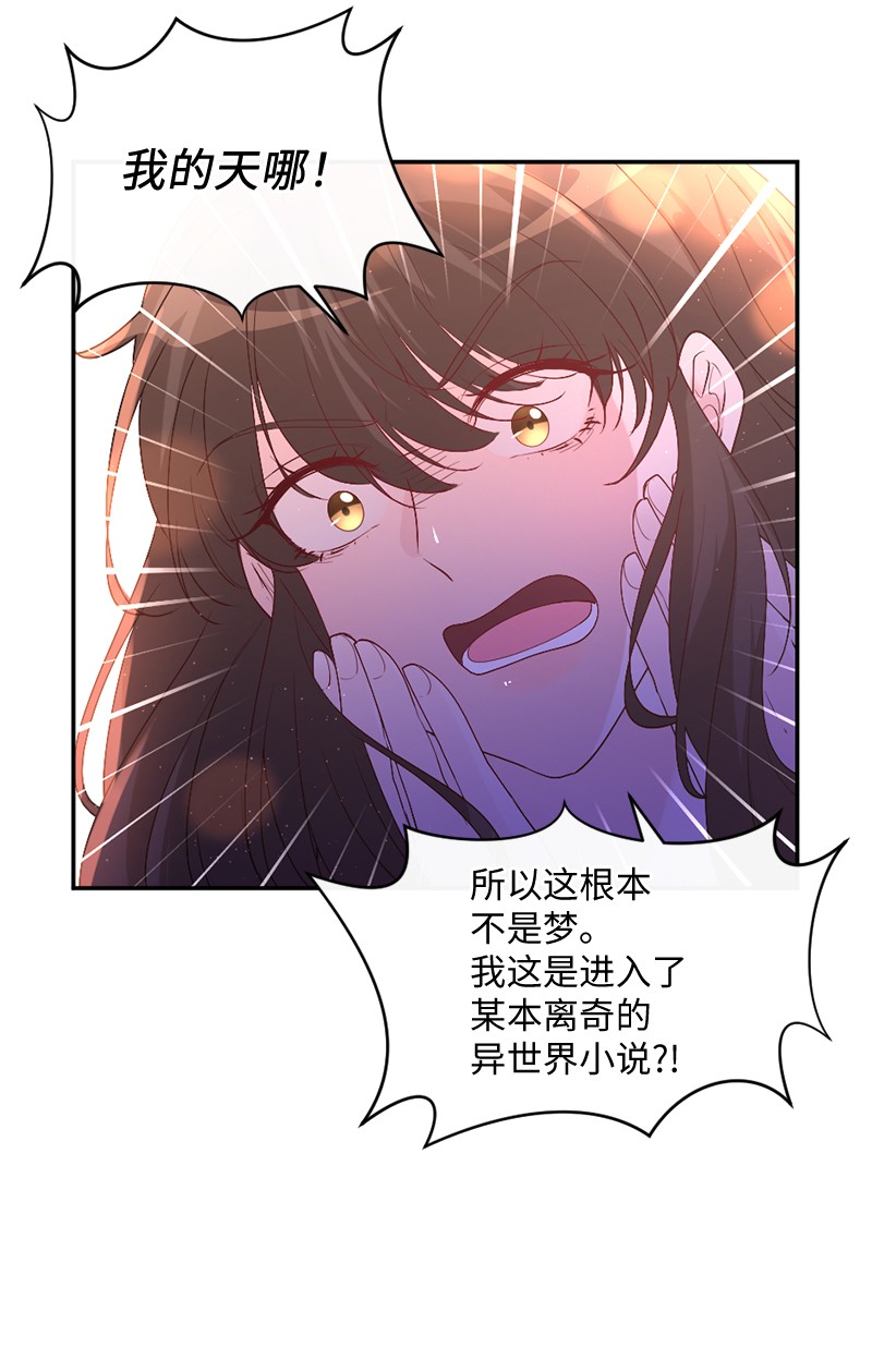 冷酷王子和他的“男”医生02 巧入王宫