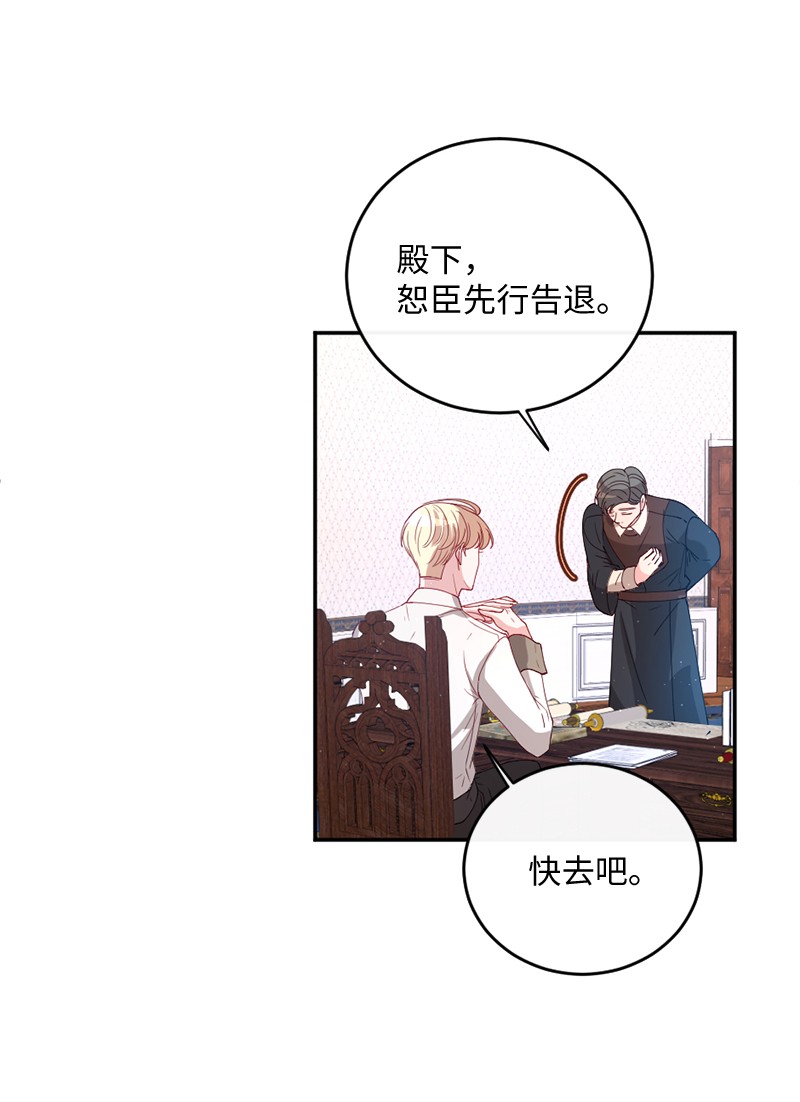 冷酷王子和他的“男”医生02 巧入王宫