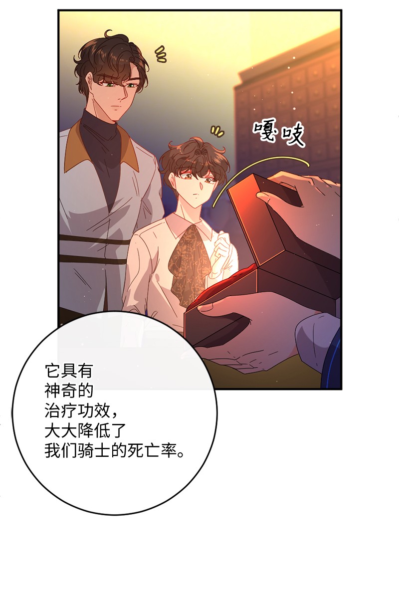 冷酷王子和他的“男”医生08 女巫传说