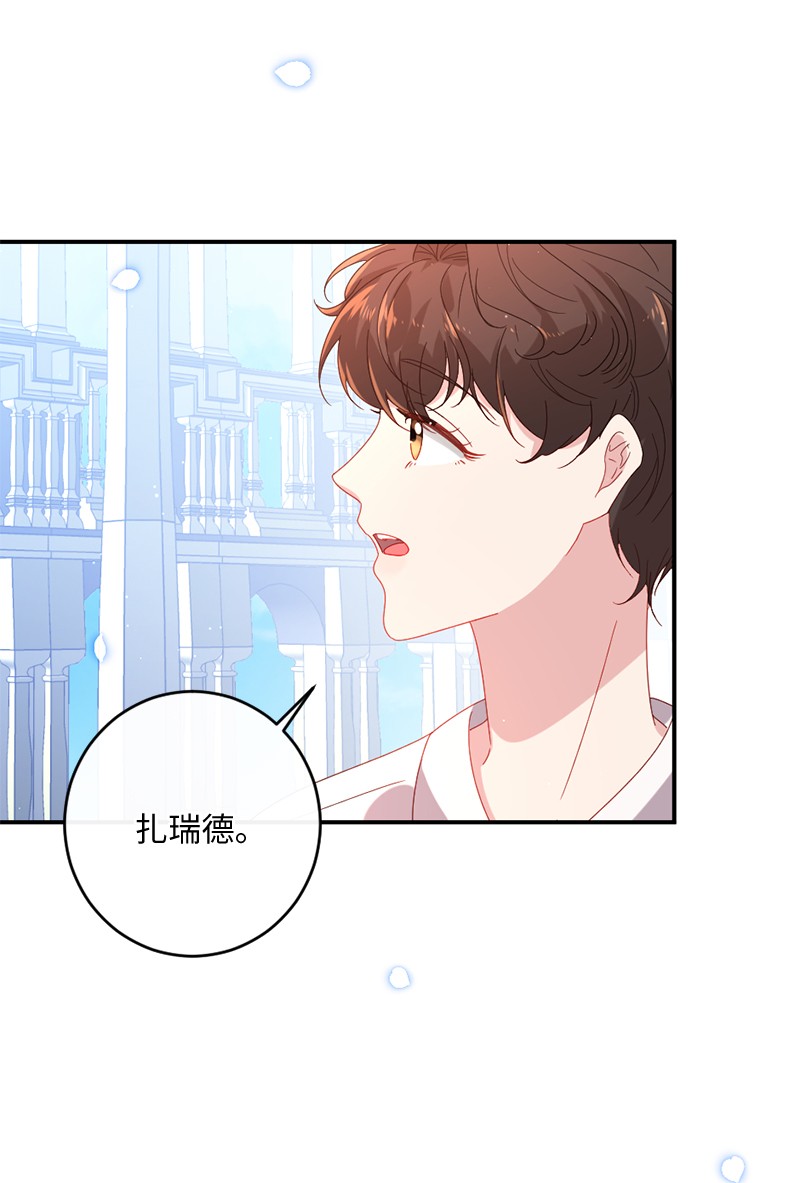 冷酷王子和他的“男”医生08 女巫传说