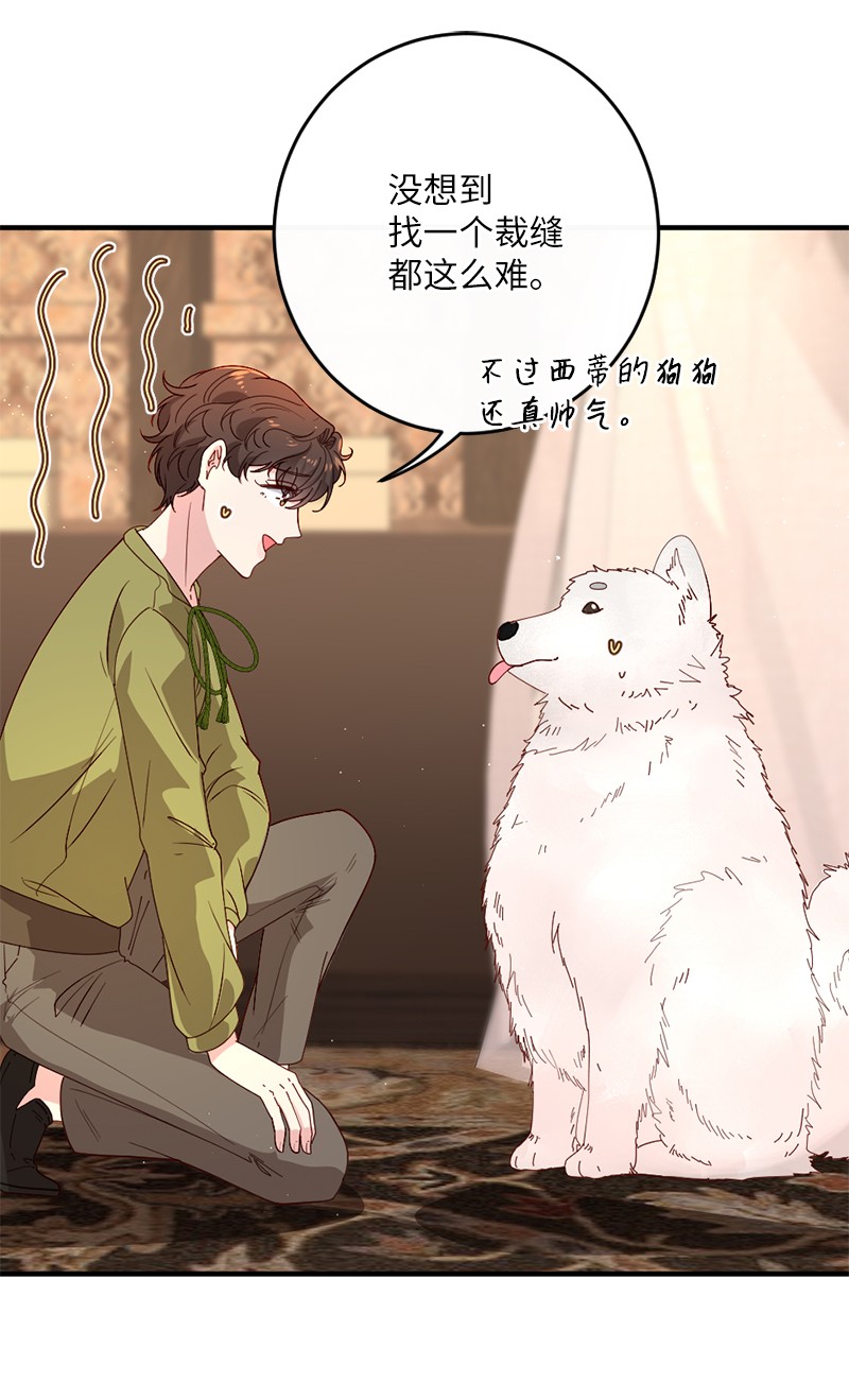 冷酷王子和他的“男”医生11 神秘商店