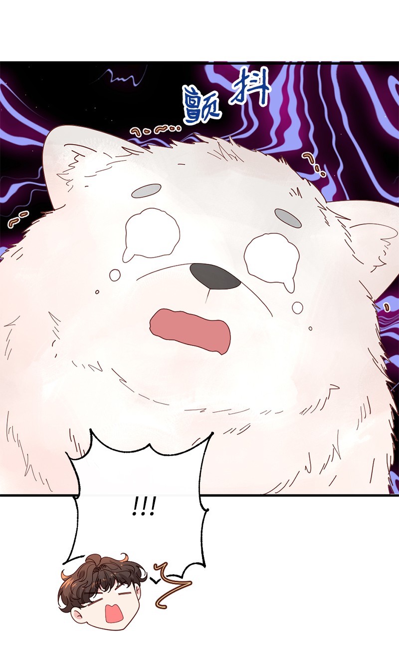 冷酷王子和他的“男”医生11 神秘商店