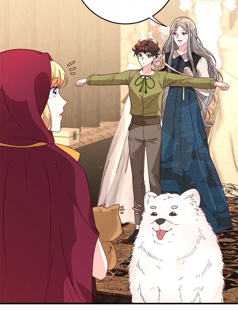 冷酷王子和他的“男”医生11 神秘商店