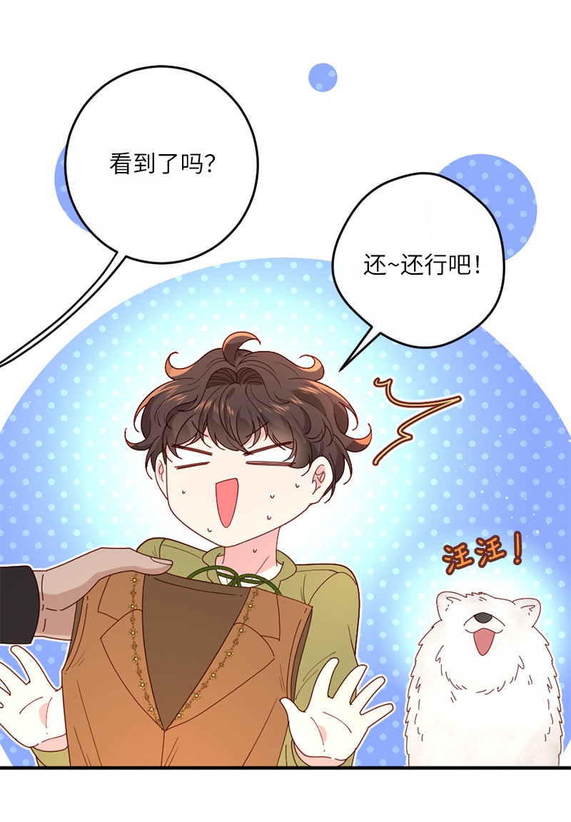 冷酷王子和他的“男”医生11 神秘商店