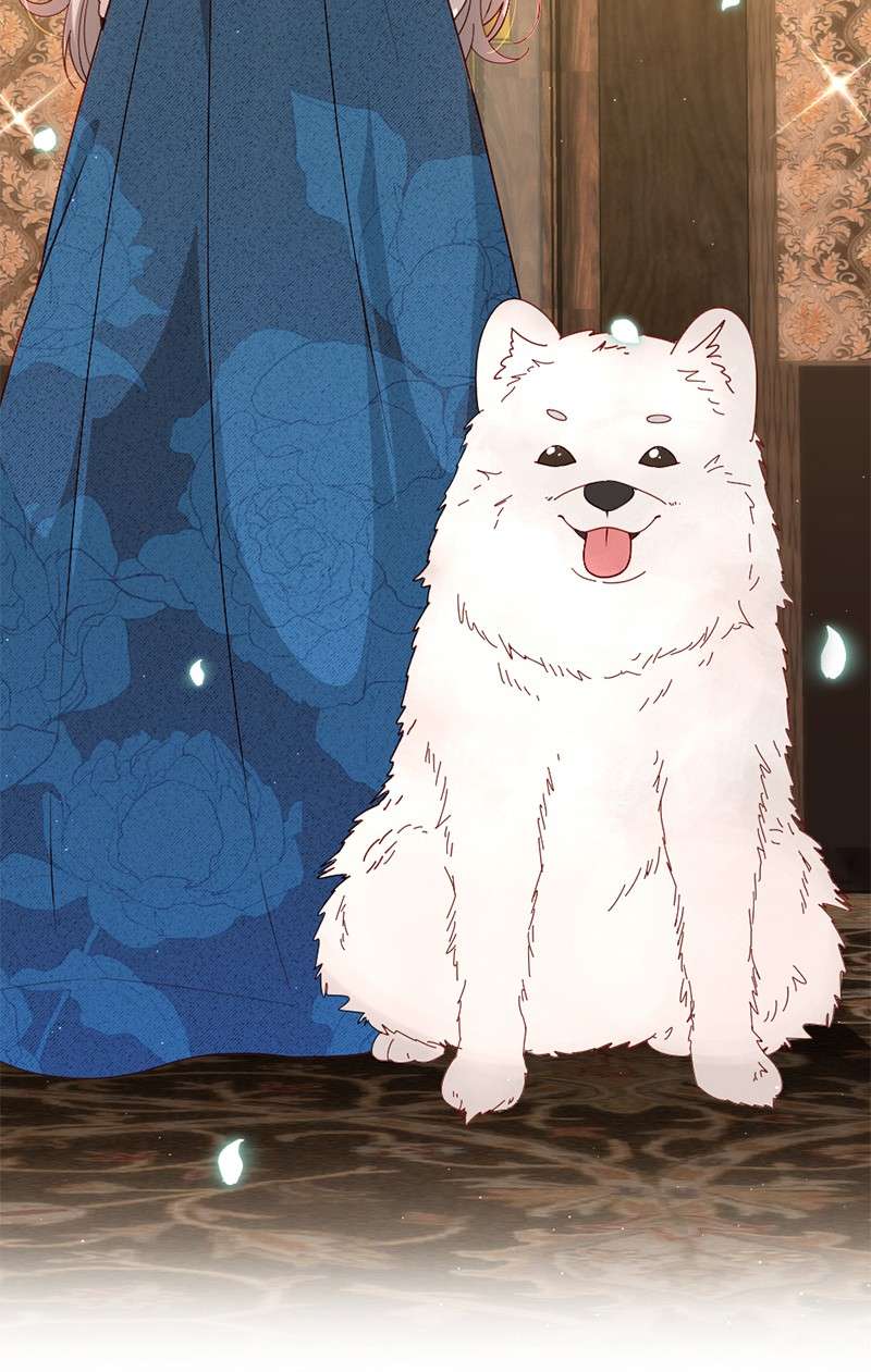 冷酷王子和他的“男”医生11 神秘商店