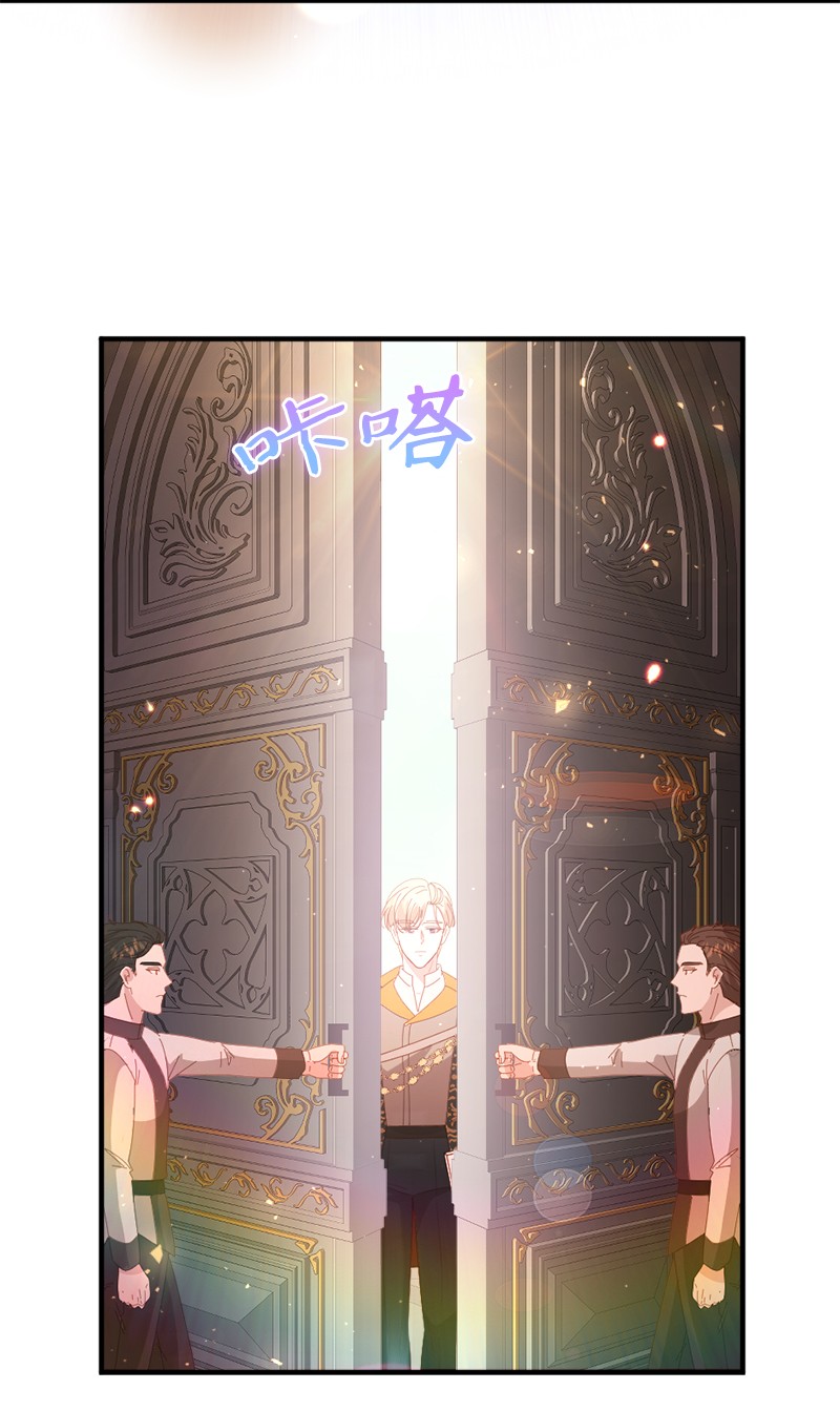 冷酷王子和他的“男”医生20 甘为棋子