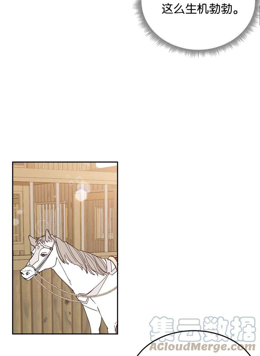 公爵家的第99位新娘08 体察民情