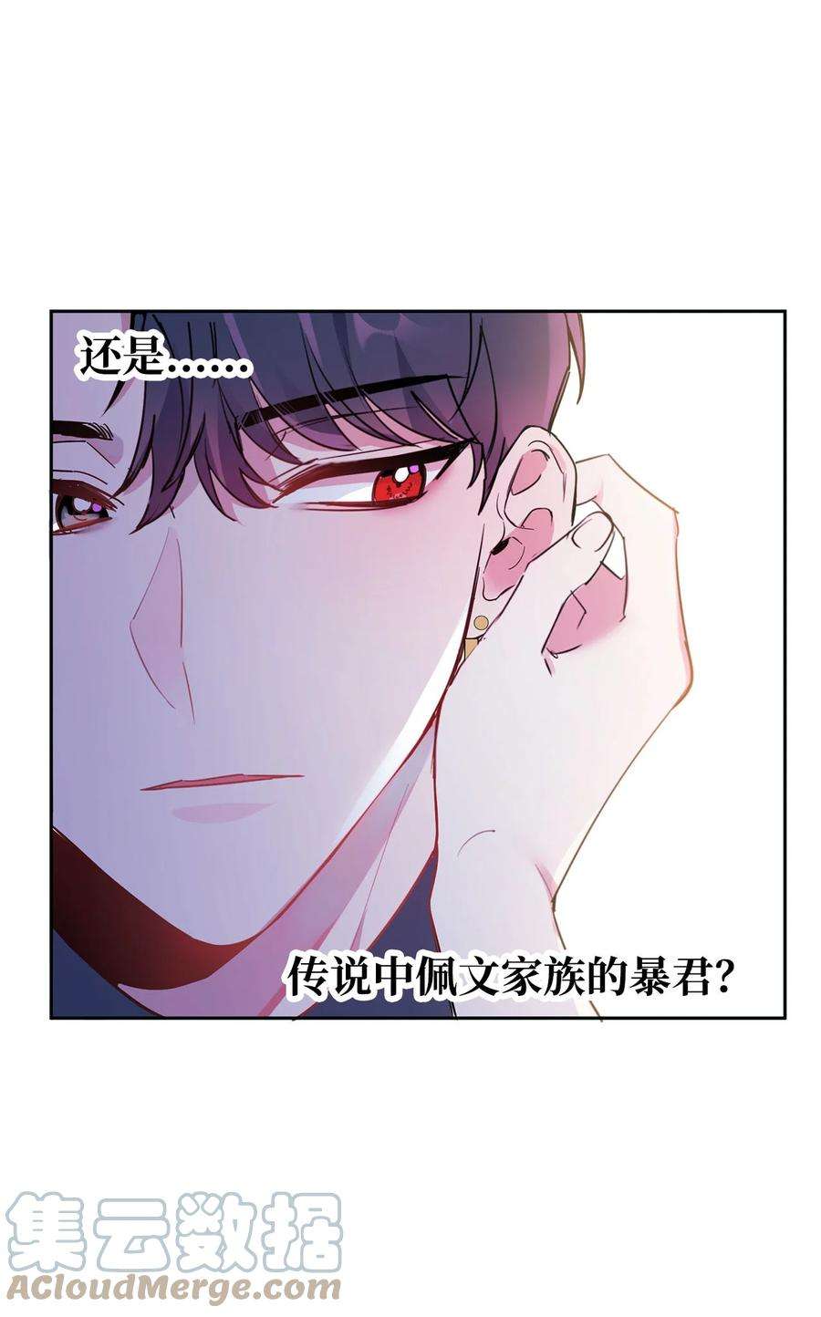 公爵家的第99位新娘11 真面目