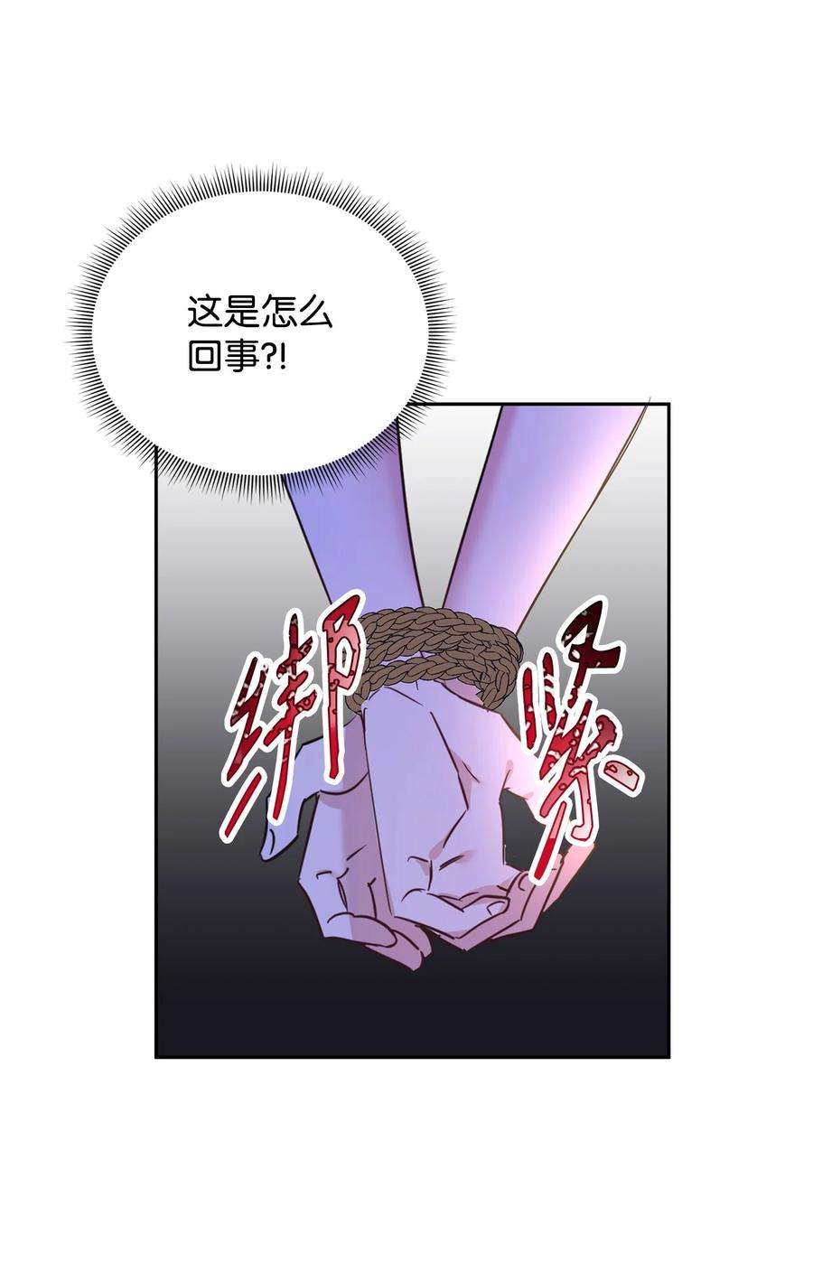 公爵家的第99位新娘19 被绑架