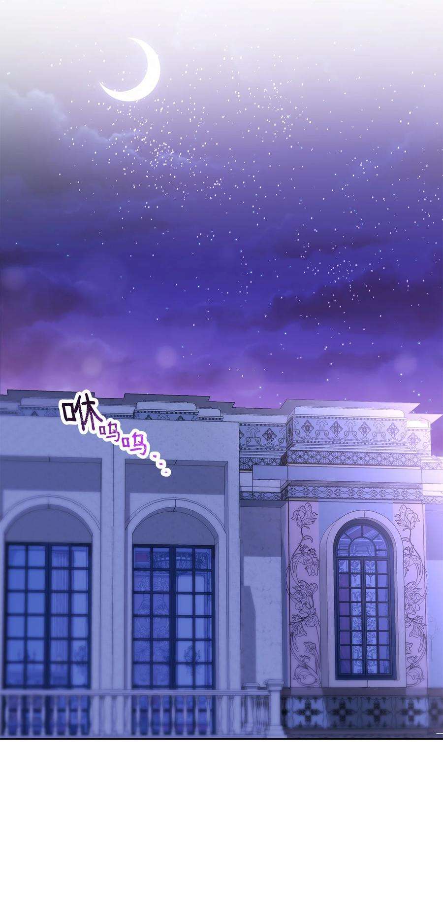 公爵家的第99位新娘19 被绑架