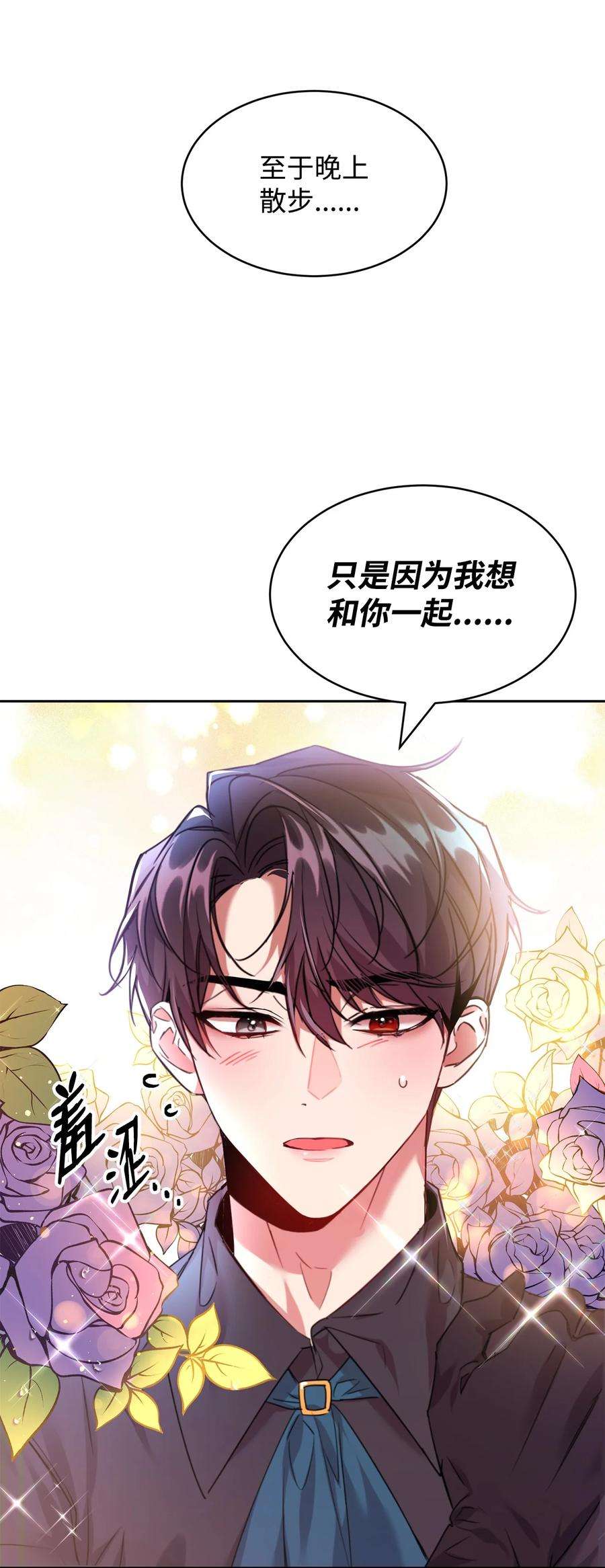 公爵家的第99位新娘23 美男计