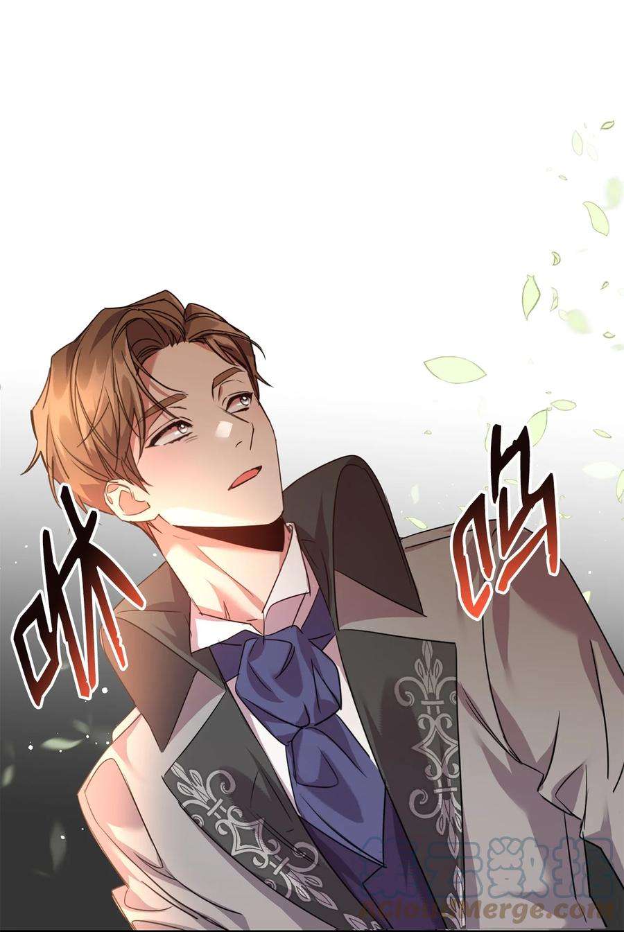 公爵家的第99位新娘23 美男计