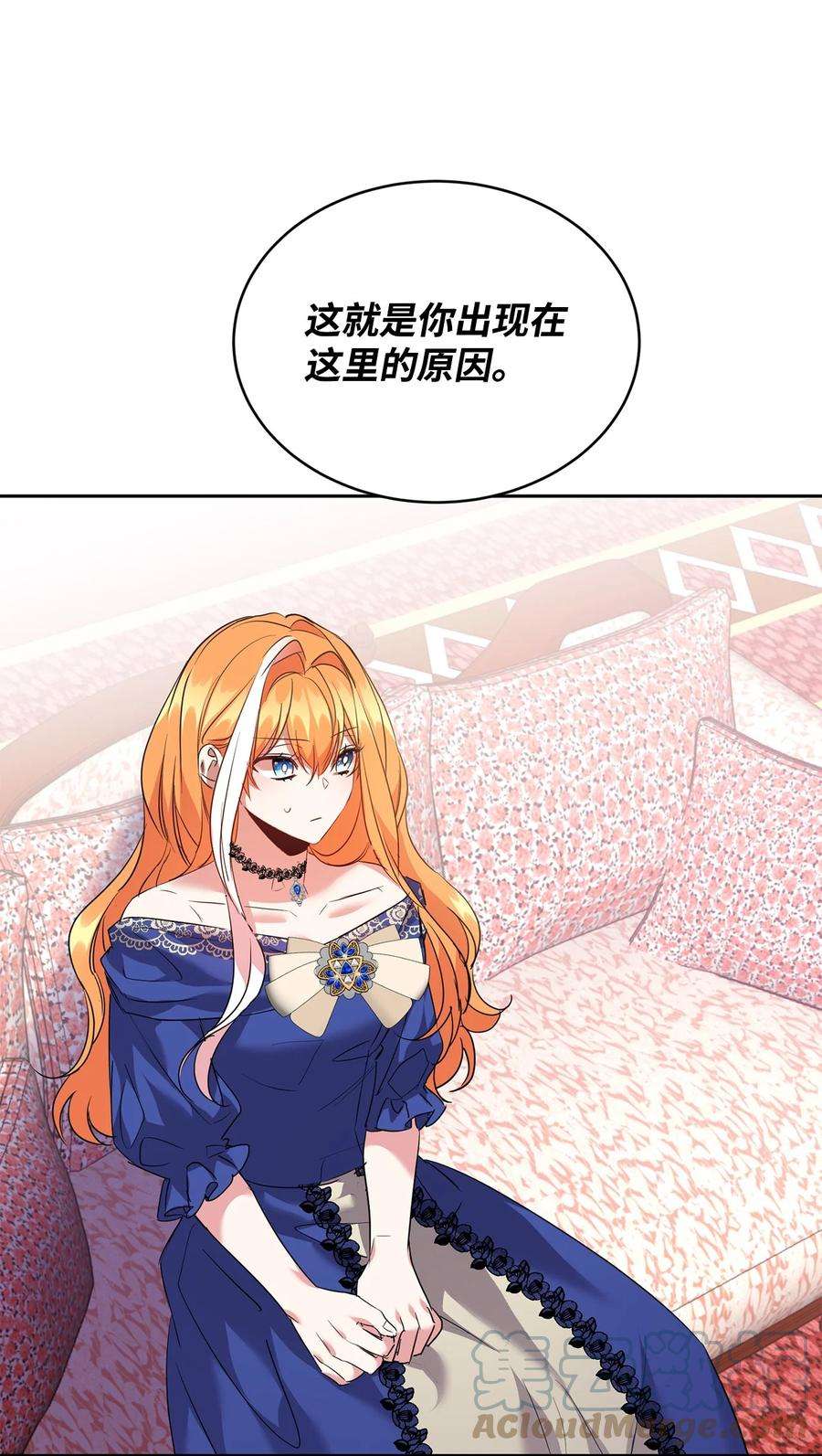 公爵家的第99位新娘30 事情的原委