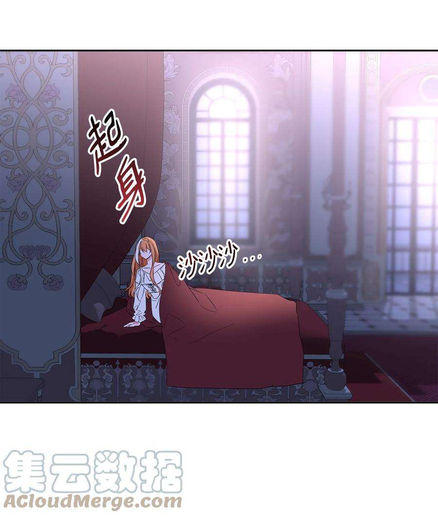 公爵家的第99位新娘30 事情的原委