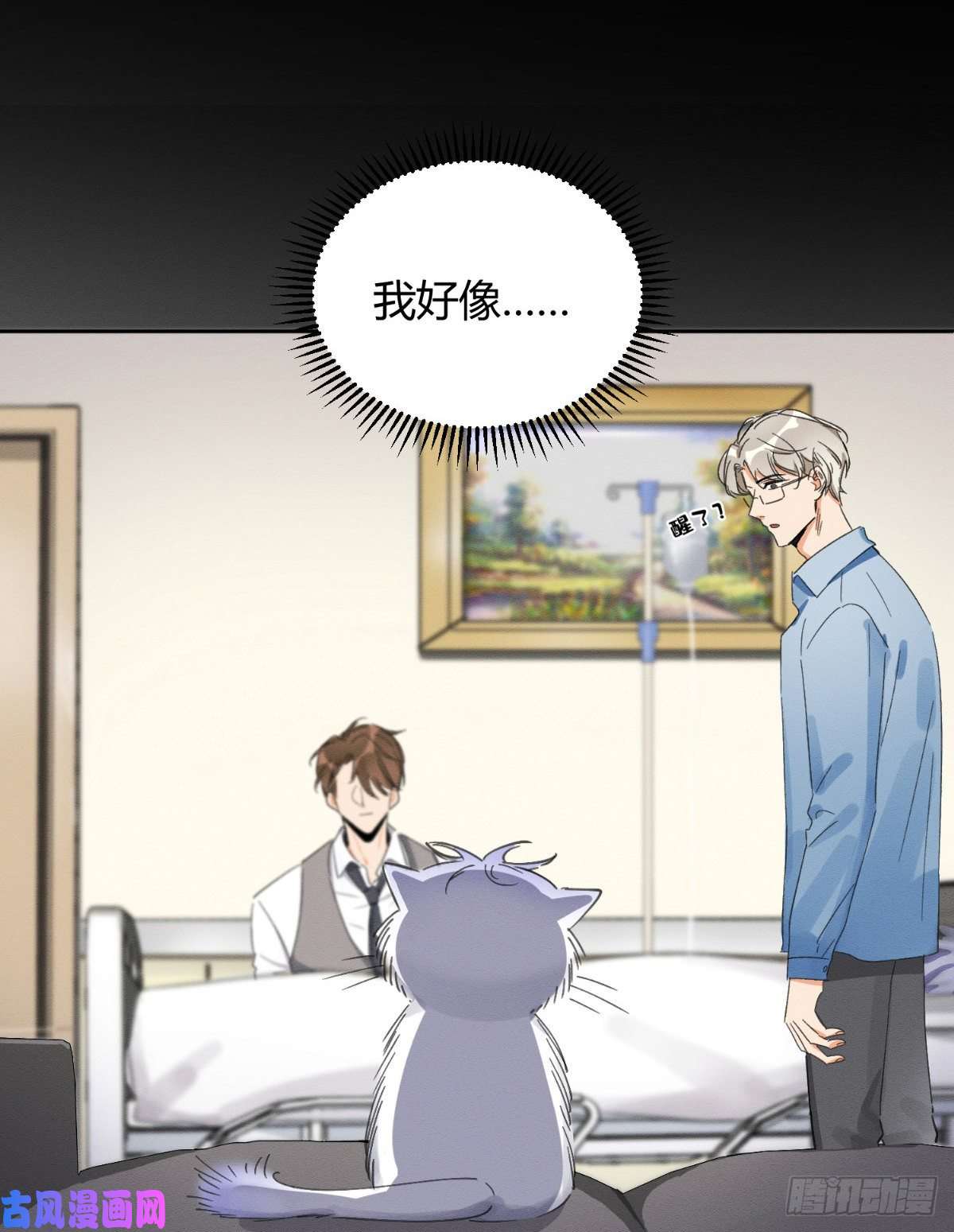 今天也要努力当只猫预告！