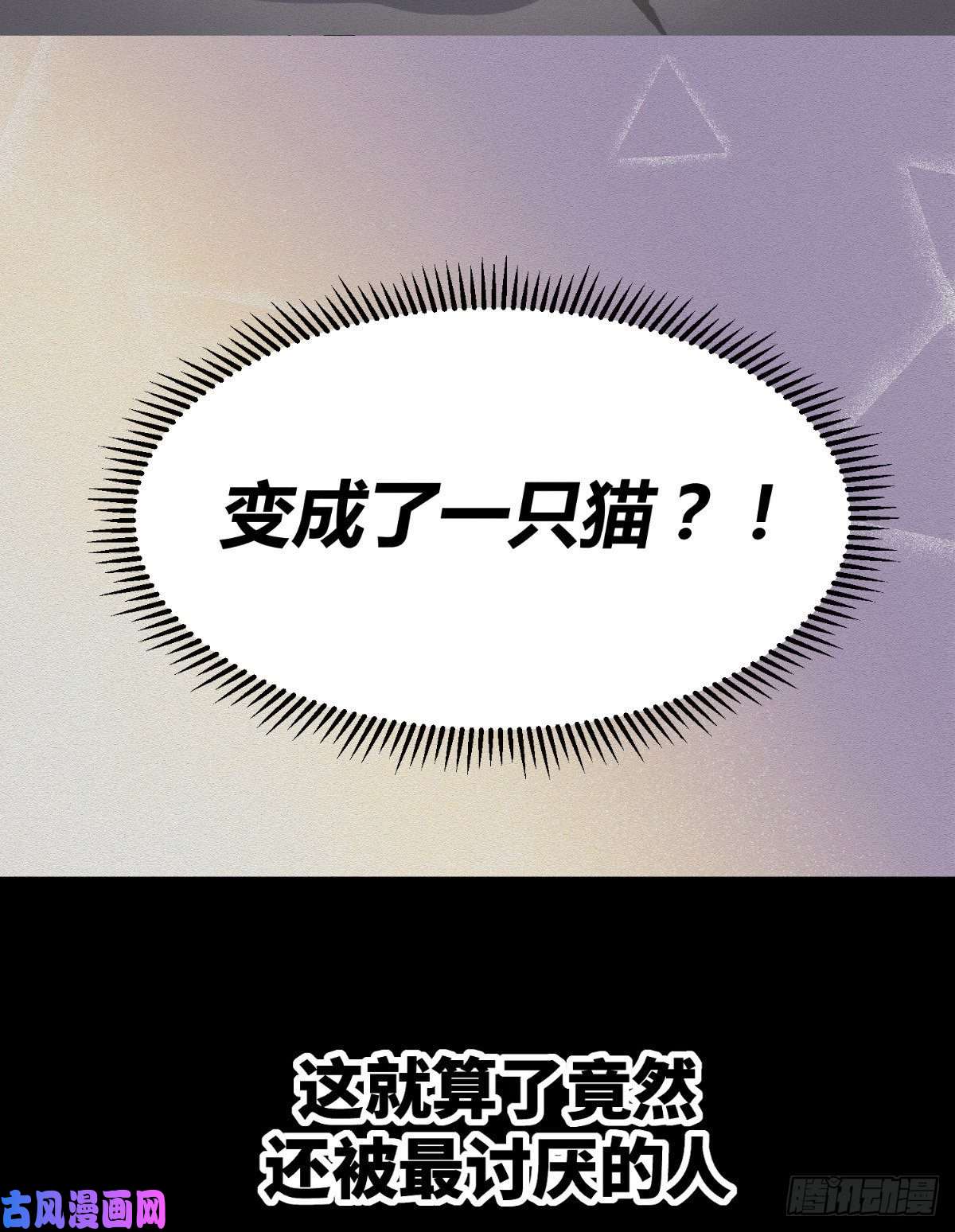 今天也要努力当只猫预告！