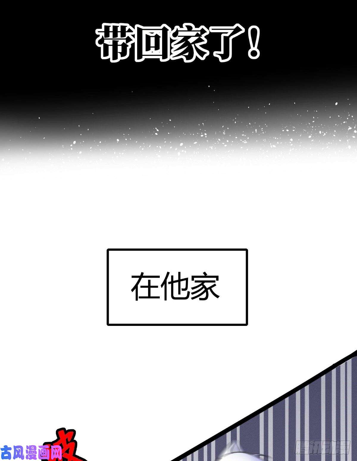 今天也要努力当只猫预告！