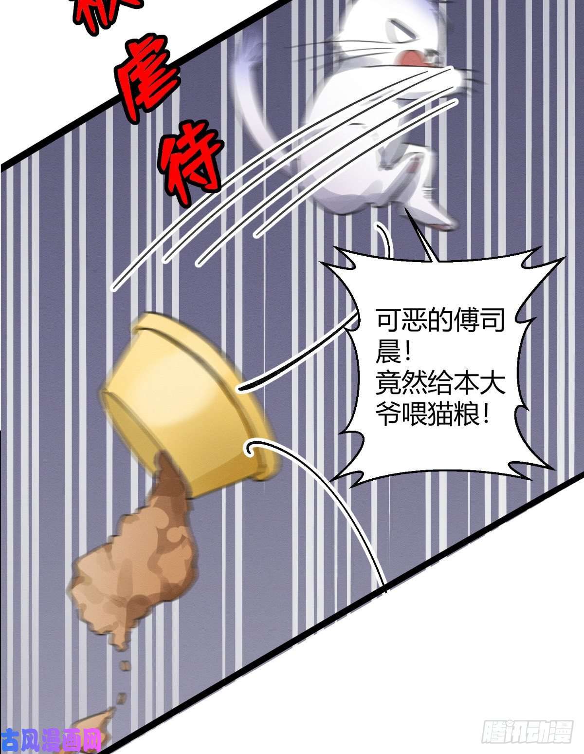 今天也要努力当只猫预告！