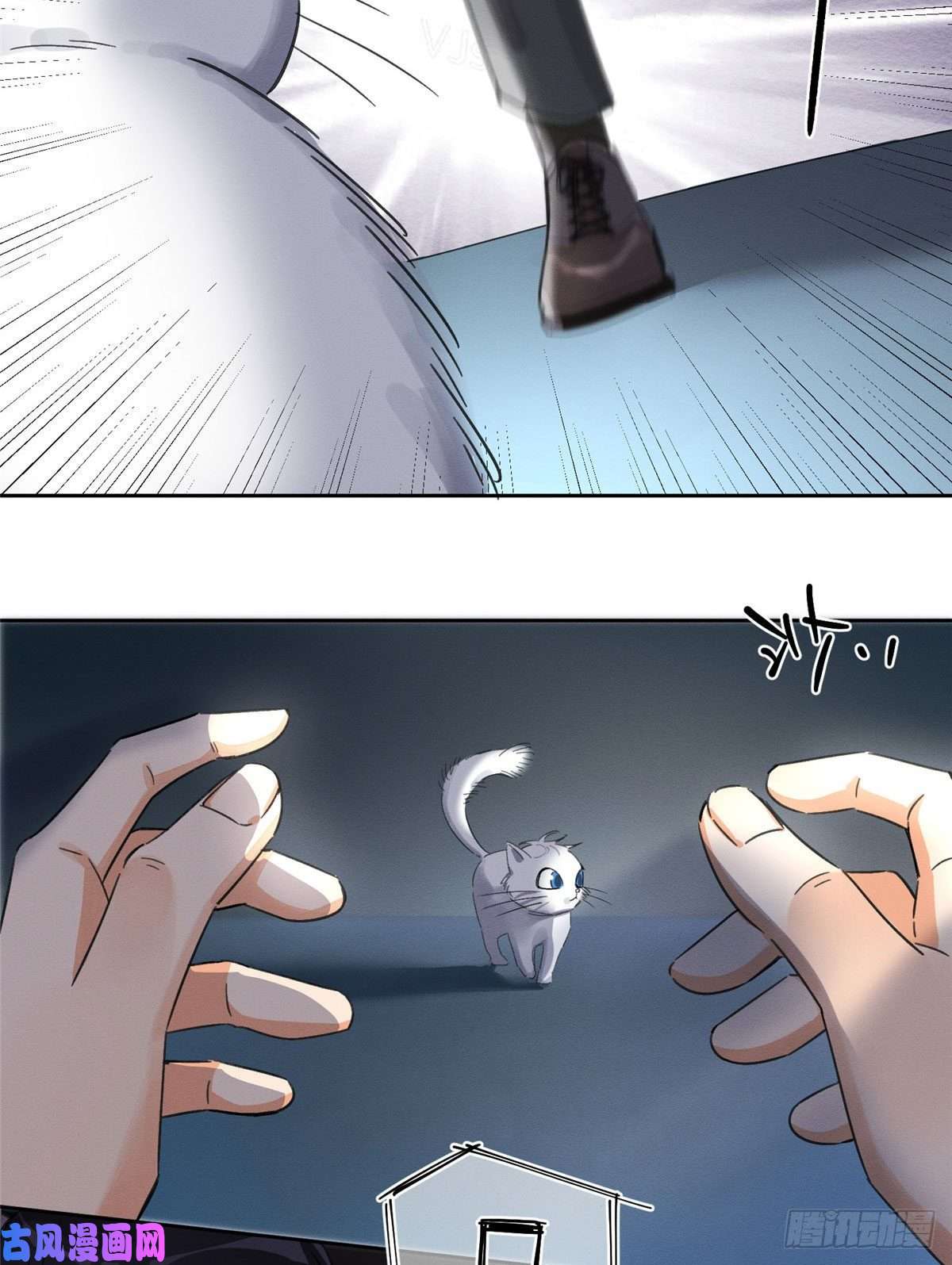 今天也要努力当只猫第1话 我变成猫了！