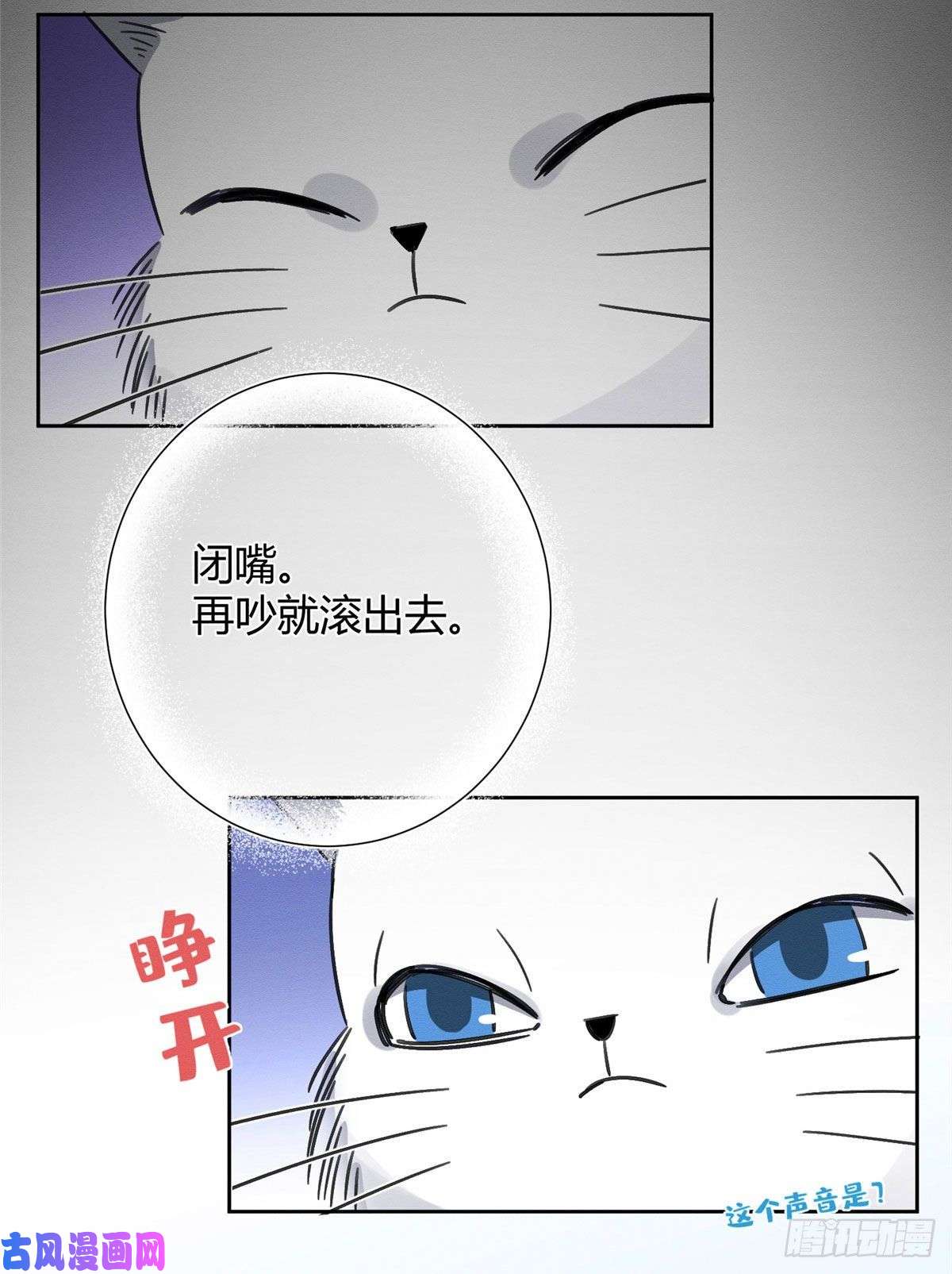 今天也要努力当只猫第1话 我变成猫了！