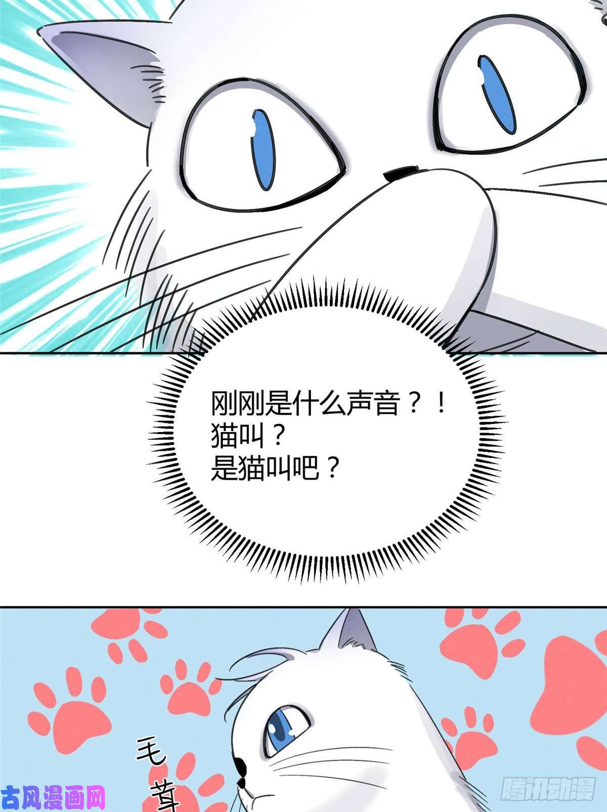 今天也要努力当只猫第1话 我变成猫了！