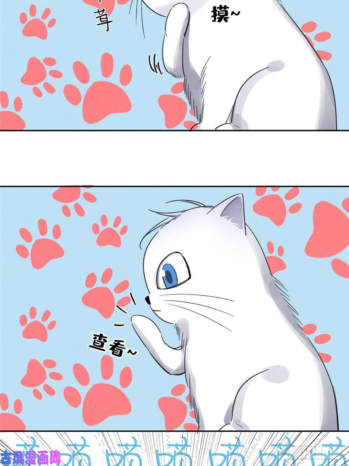 今天也要努力当只猫第1话 我变成猫了！