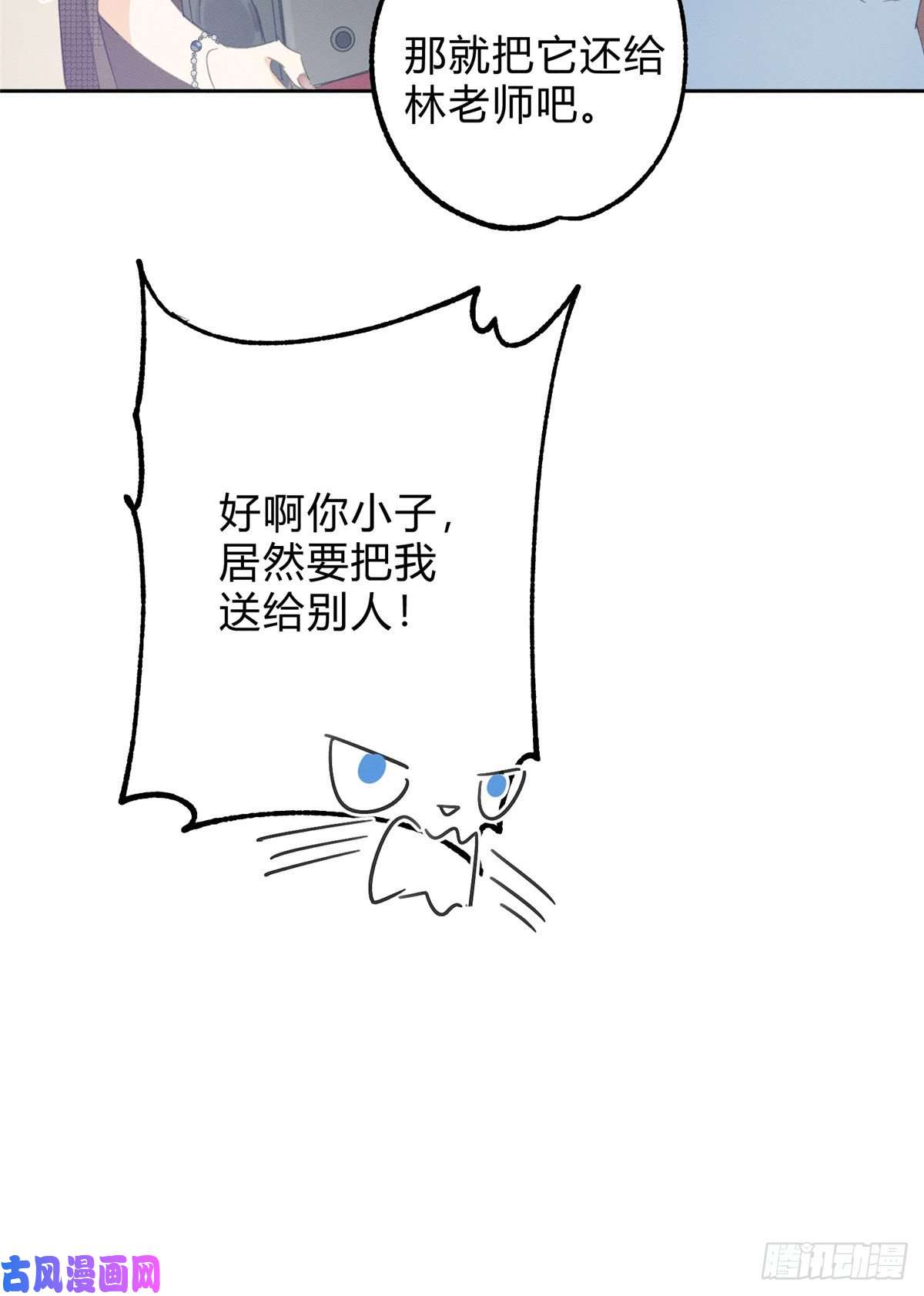 今天也要努力当只猫第2话 我来照顾他吧！