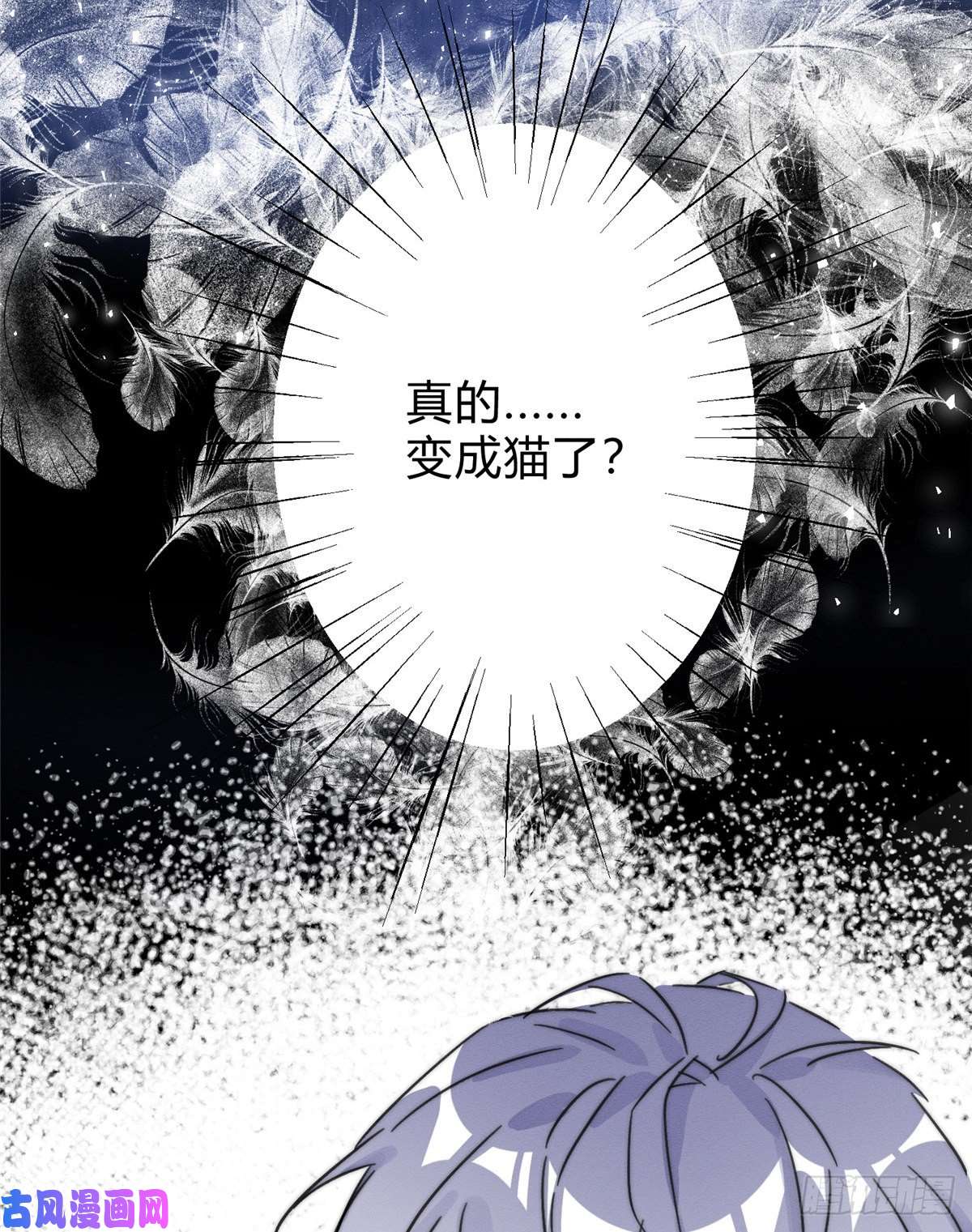 今天也要努力当只猫第2话 我来照顾他吧！