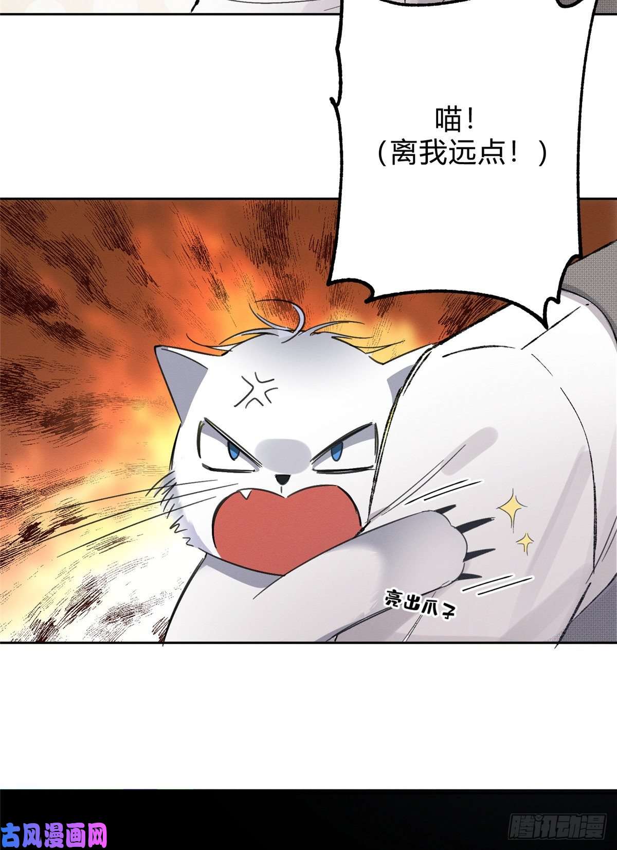 今天也要努力当只猫第2话 我来照顾他吧！