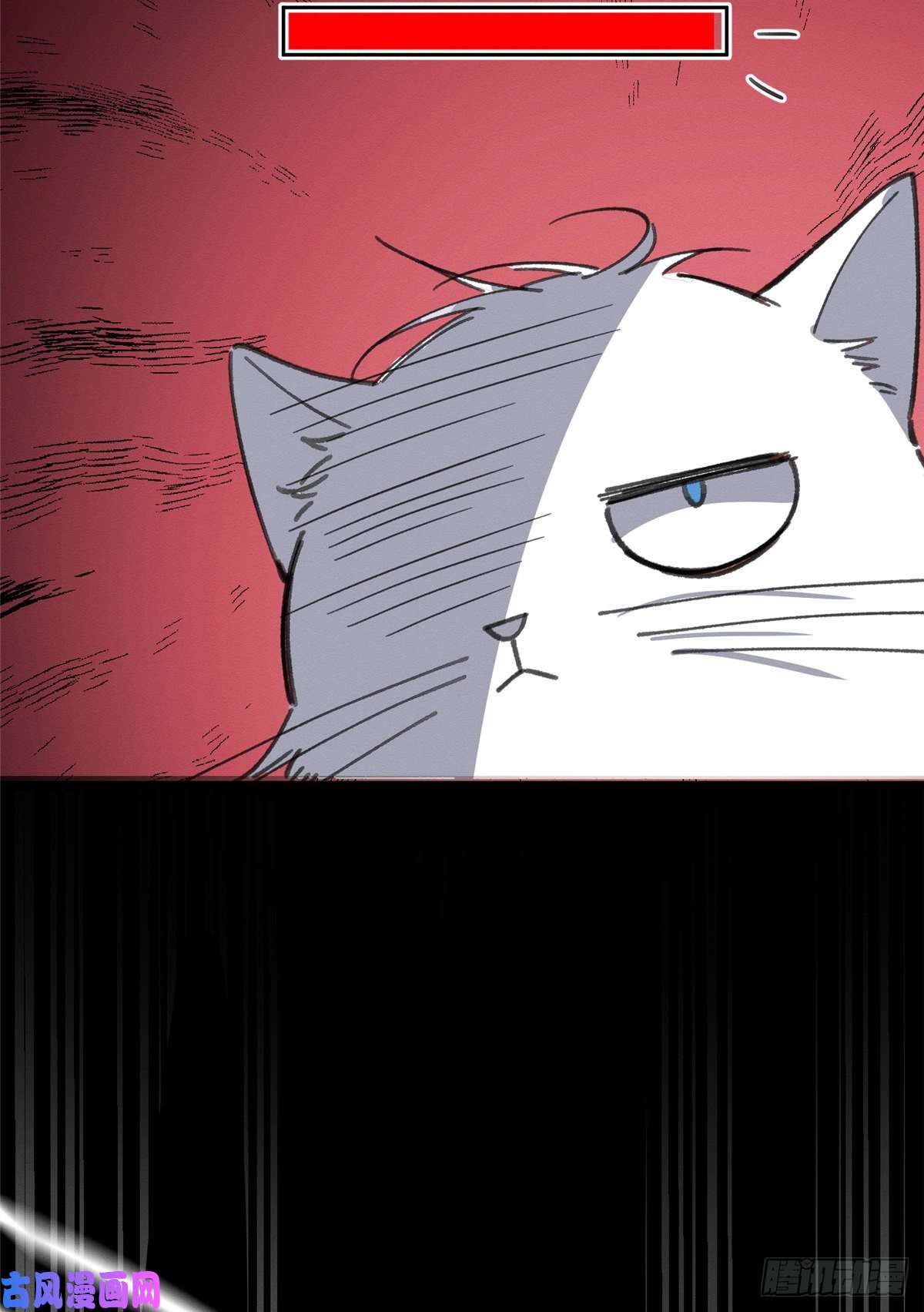 今天也要努力当只猫第2话 我来照顾他吧！