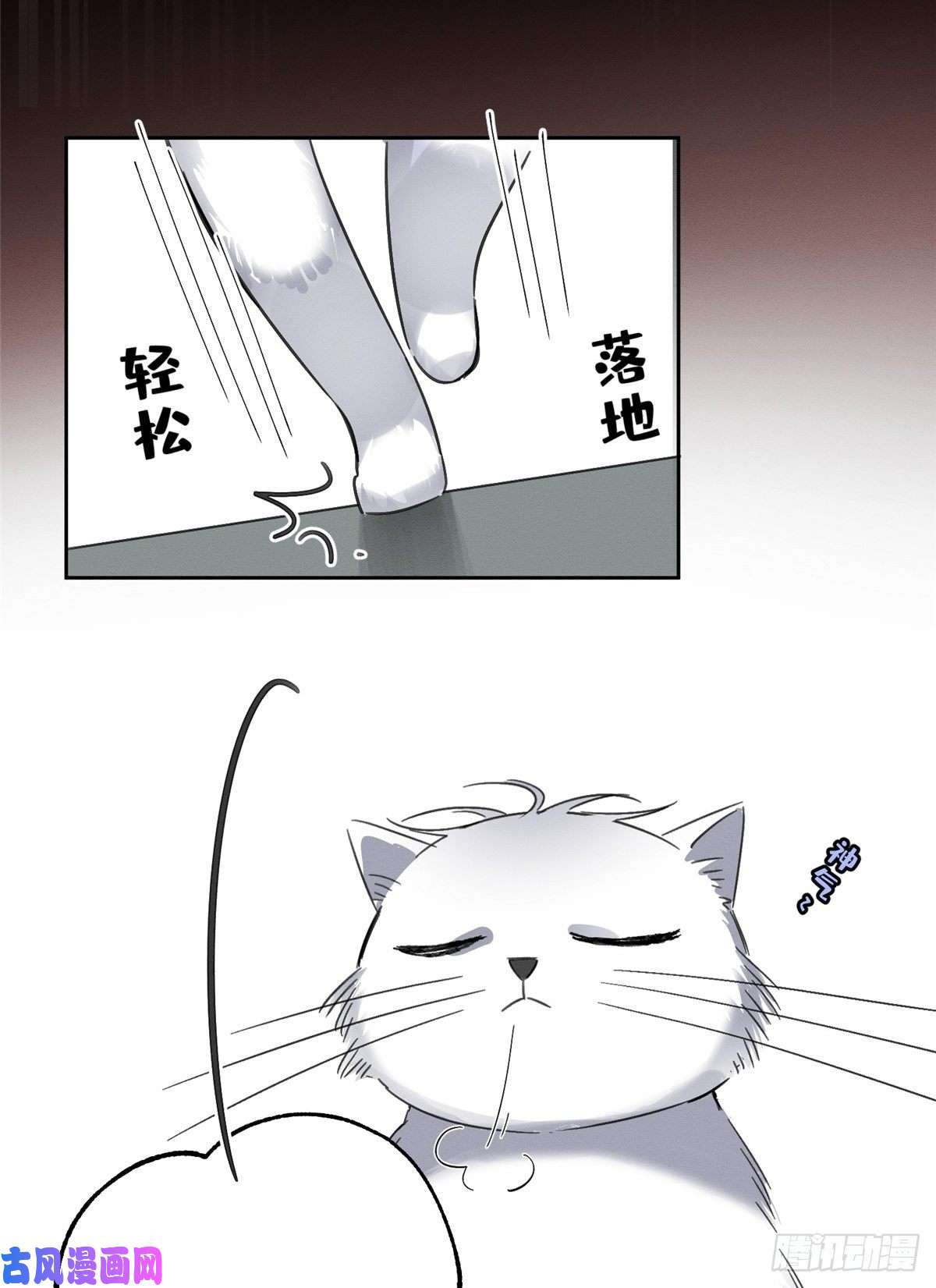 今天也要努力当只猫第2话 我来照顾他吧！