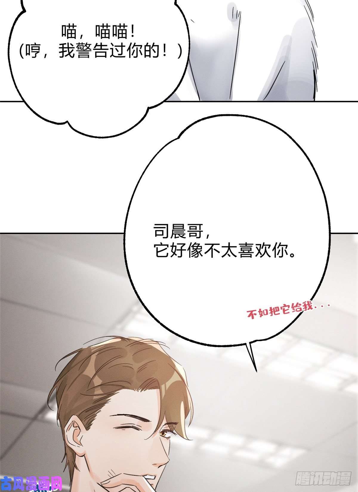 今天也要努力当只猫第2话 我来照顾他吧！