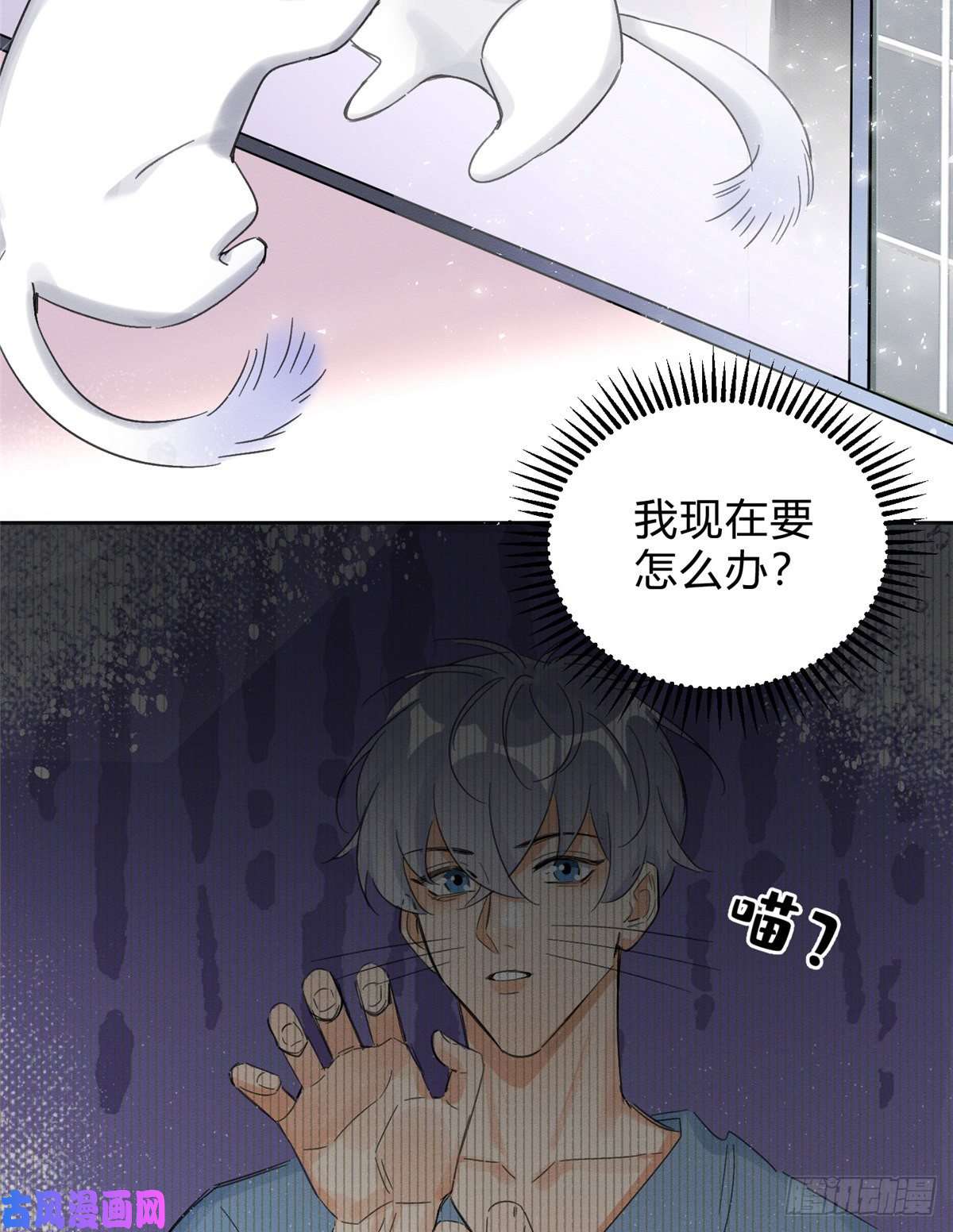 今天也要努力当只猫第2话 我来照顾他吧！