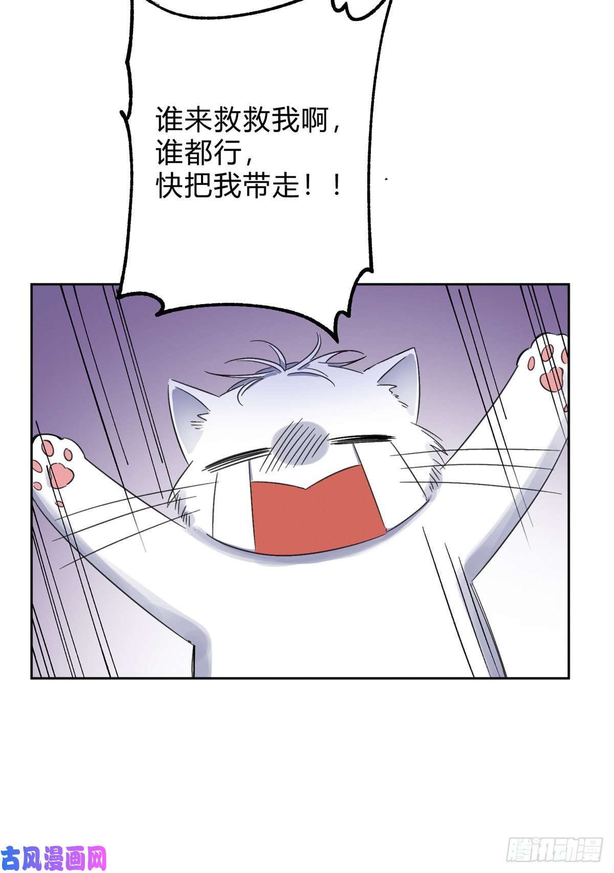 今天也要努力当只猫第2话 我来照顾他吧！